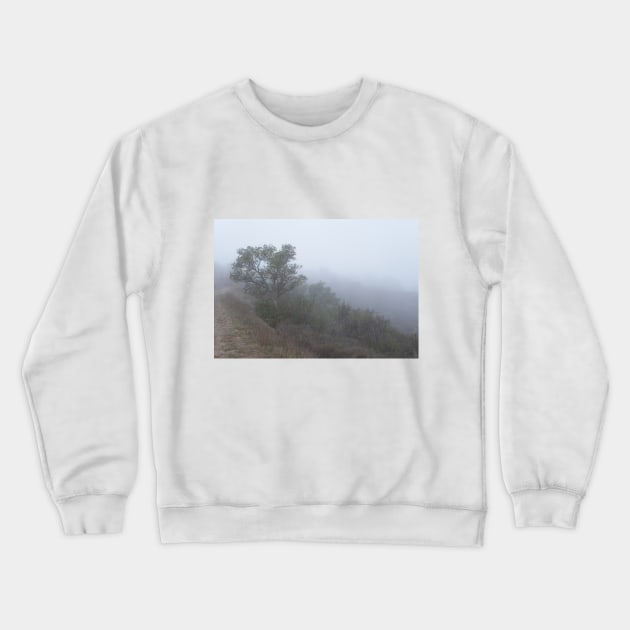 A cloudy and grey morning on the trail! Crewneck Sweatshirt by nancy.hajjar@yahoo.com